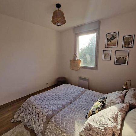 Appartement Cosy Oloron, Aux Pieds Des Pyrenees Et De L'Atlantique! Dış mekan fotoğraf
